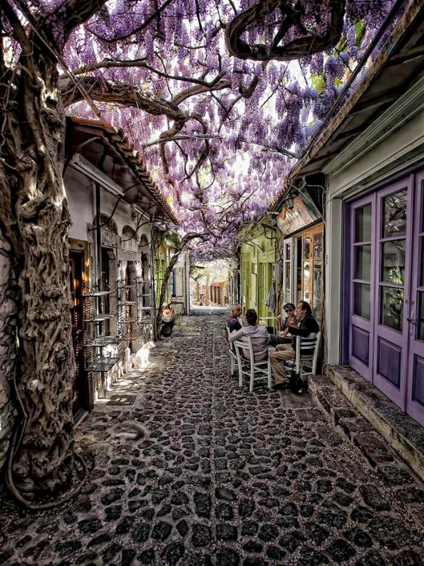 Flowery Streets - Molyvos, Lesbos, Greece