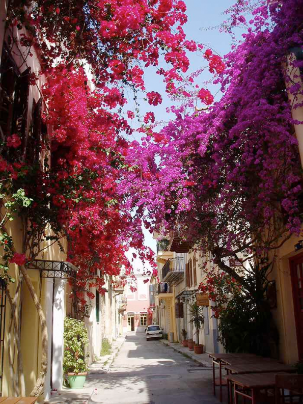 Flowery Streets - Nafplio, Greece