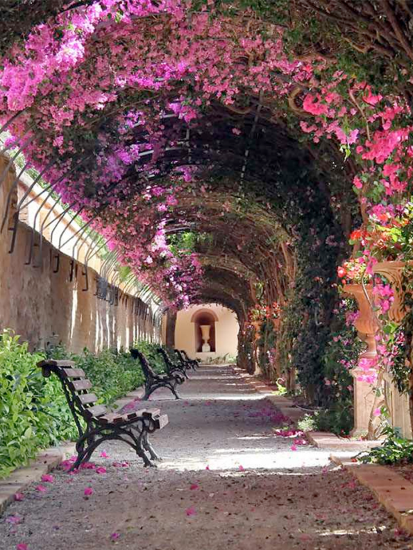 Flowery Streets - Valencia, Spain