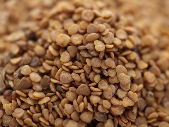 What is Ashwagandha?