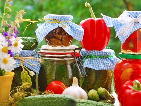 Herbs Natura - Herbal Remedies