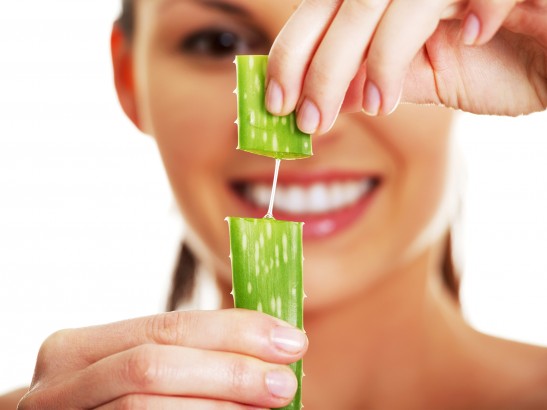 Aloe Vera Plant Beauty Benefits