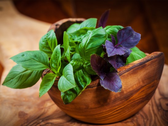 Basil Benefits