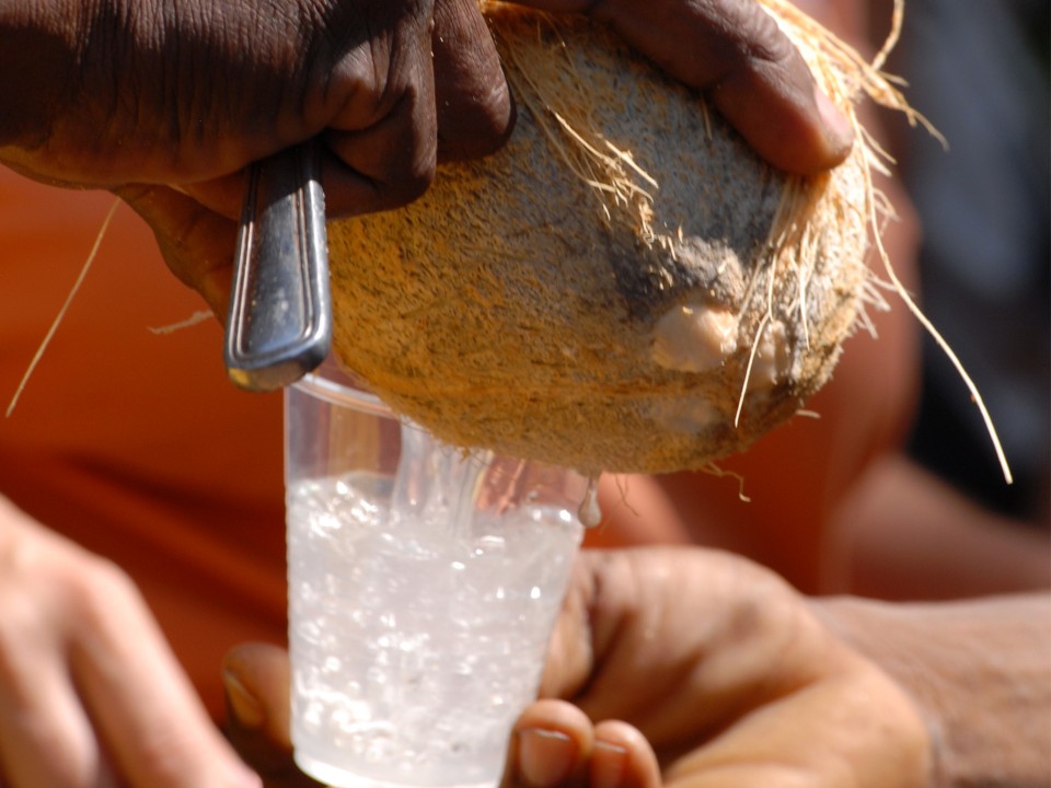 Fresh Coconut Water Benefits