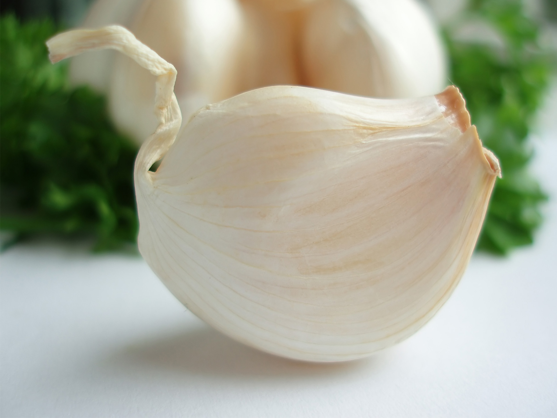 Garlic, a powerful culinary & medicinal herb
