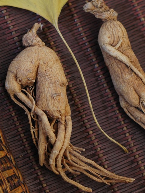 Ginseng Root Benefits by Herbs Natura