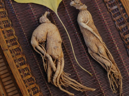 Ginseng benefits