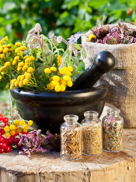 Herbs List & Uses