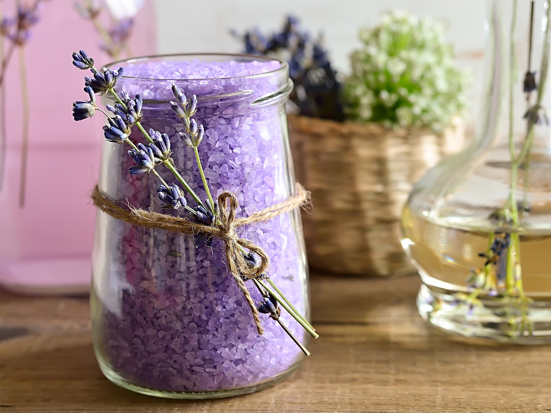 Lavender - Lavandula Healing Effects