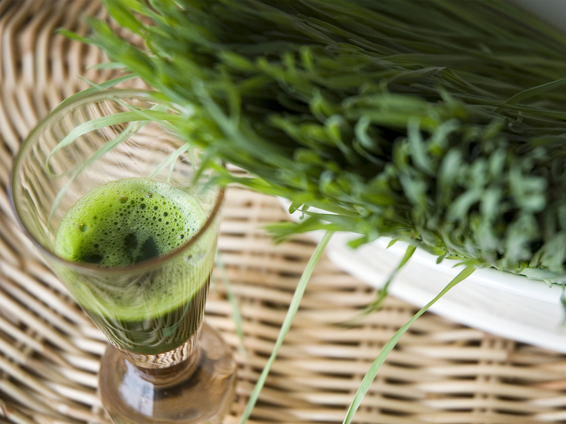 Wheatgrass Benefits